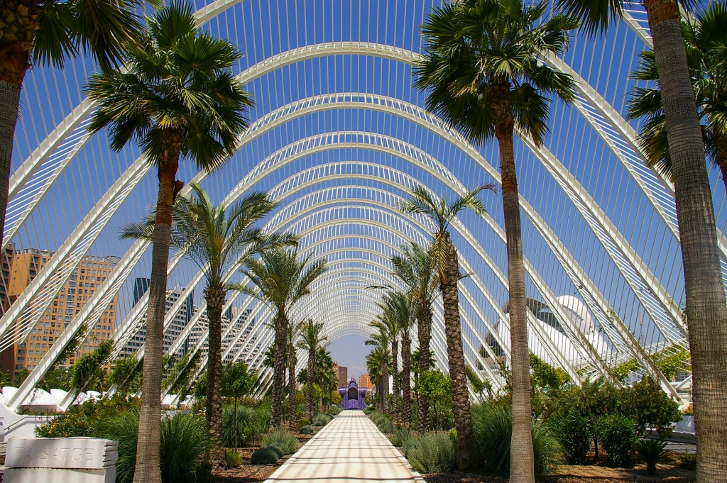 valencia 8